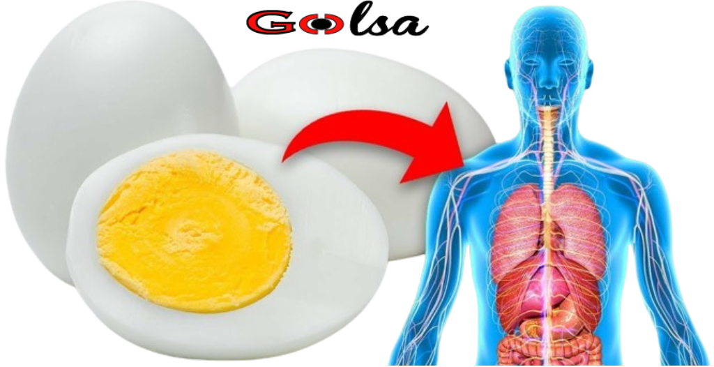 Here’s what happens to your body when you eat two eggs a day. I would never have believed it