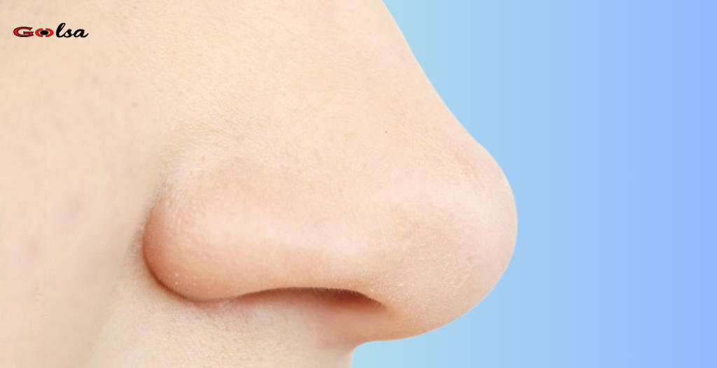 Your nose is the first indicator if you are about to die